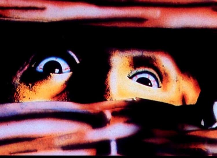 frank henenlotter - pel&iacute;culas de terror|pel&iacute;culas de frank henenlotter - basket case|filmograf&iacute;a de henenlotter - serie b|brain damage - frank henenlotter|basket case 2 - cine serie b|frankenhooker - frankenputa cine serie b|basket case 3 - henenlotter|bad biology - mike diana|persiguiendo a banksy - chasing banksy|documental sobre mike diana - boiled angels