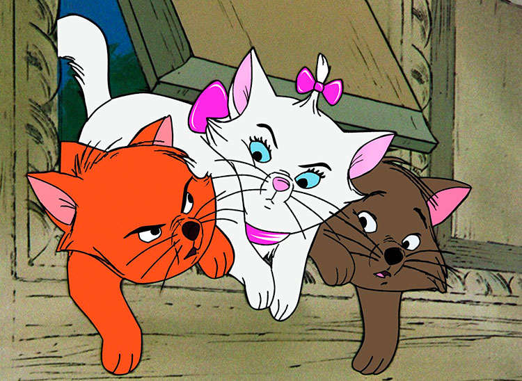 pel&iacute;culas de gatos - d&iacute;a del gato|las mejores pel&iacute;culas de gatos|lista de pel&iacute;culas de gatos||el gato que vino del espacio - filmes de gatos|los ojos del gato - pelis de gatos||haru en el reino de los gatos - cine de gatos|catwoman halle berry|las mejore pel&iacute;culas de gatos - animaci&oacute;n|el gato con botas - pel&iacute;culas de gatos|un gato callejero llamado bob|