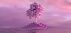 árbol rosa sobre un montículo del mismo color. El fondo también es rosa