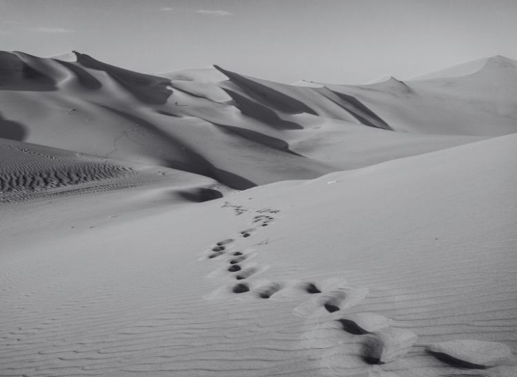 escena-blanco-negro-dune-2